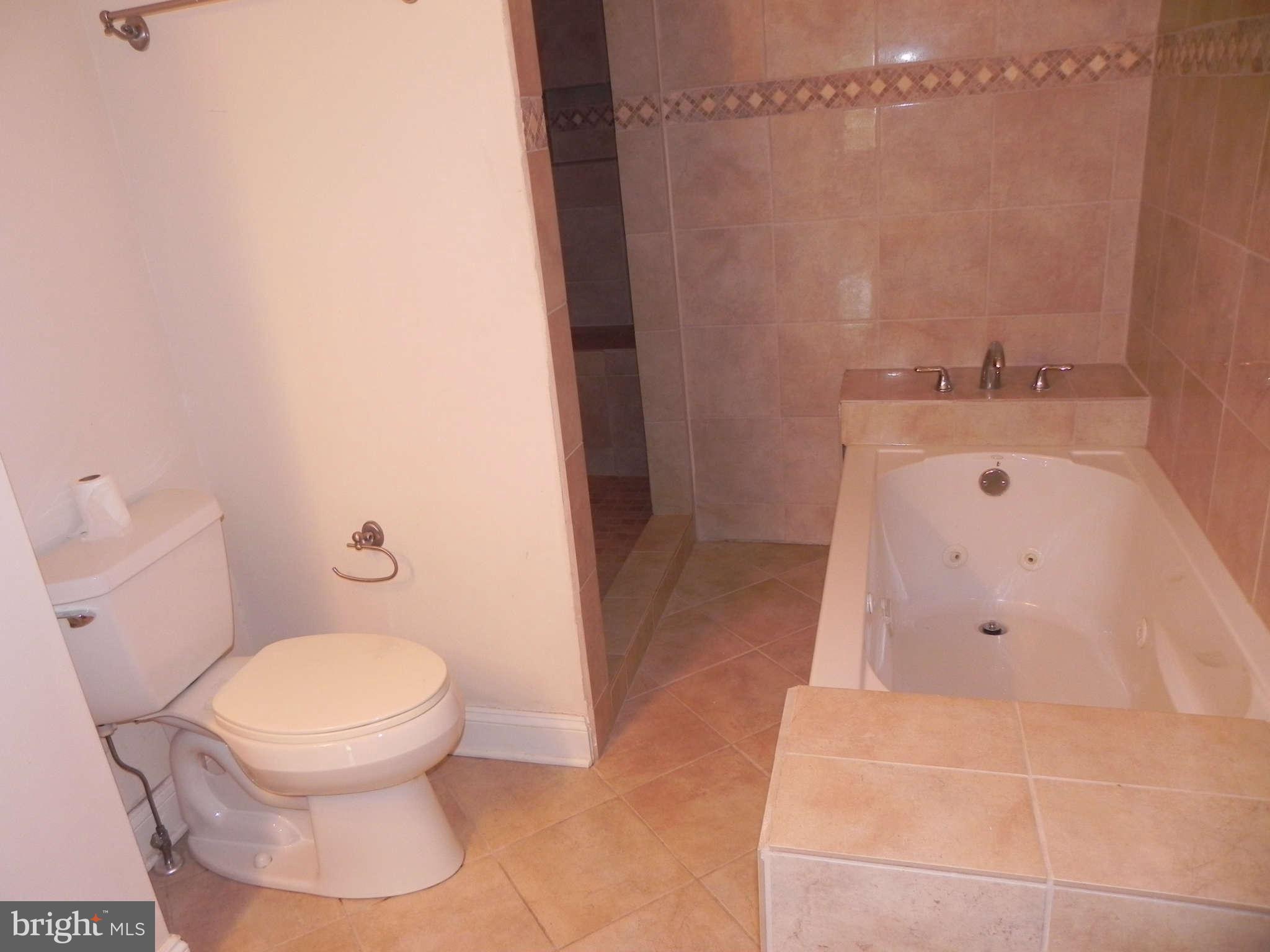 106 West Cross Street Baltimore, MD 21230 - Photo 15 of 29 a bathroom with a toilet and shower