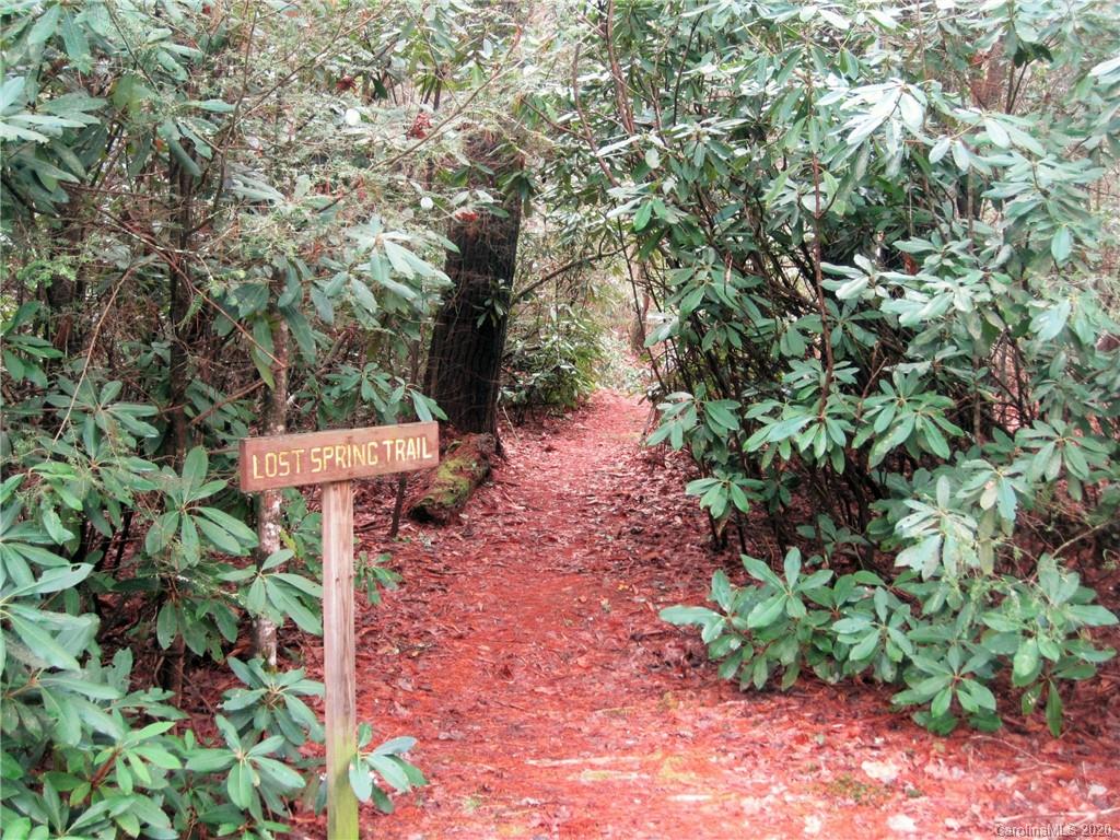 5 Oriole Road, Unit 5 Brevard, NC 28712 - Photo 20 of 21 Gallery Image 20