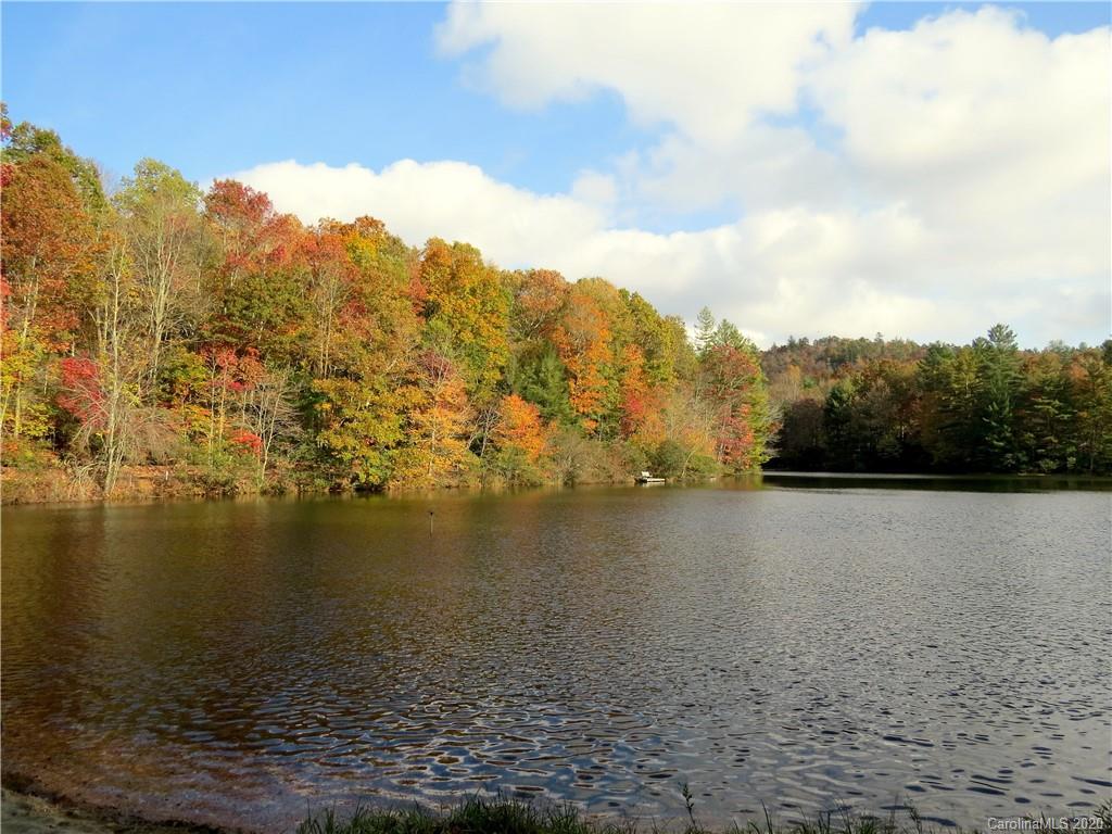 5 Oriole Road, Unit 5 Brevard, NC 28712 - Photo 21 of 21 Gallery Image 21