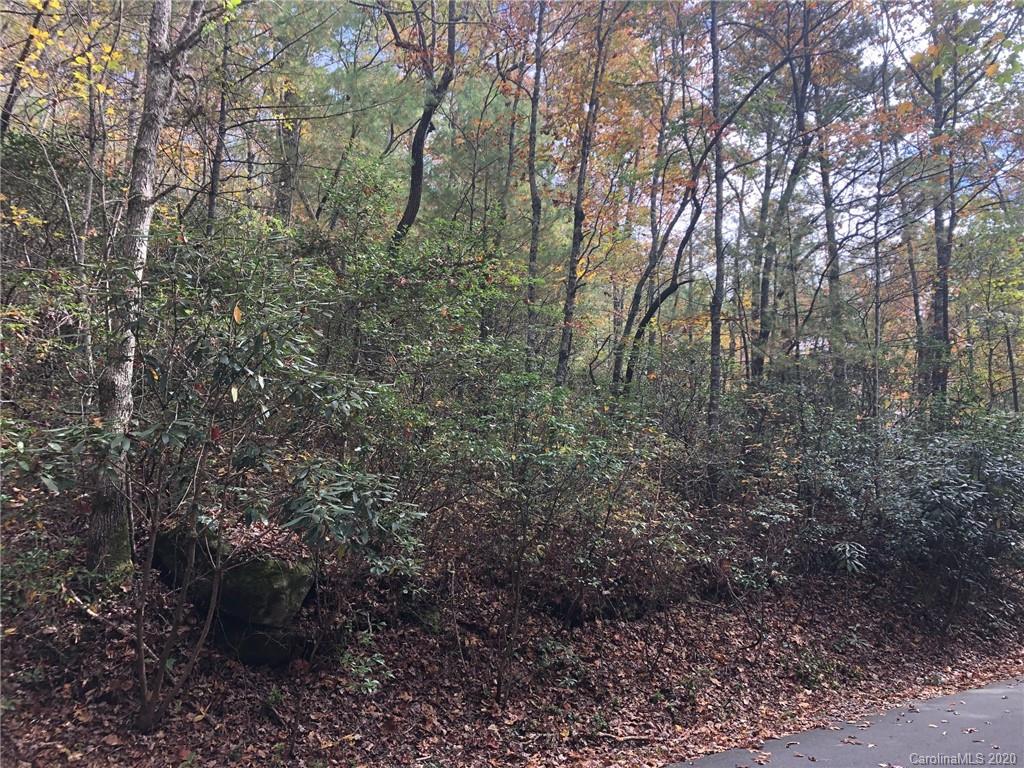 5 Oriole Road, Unit 5 Brevard, NC 28712 - Photo 9 of 21 Gallery Image 9