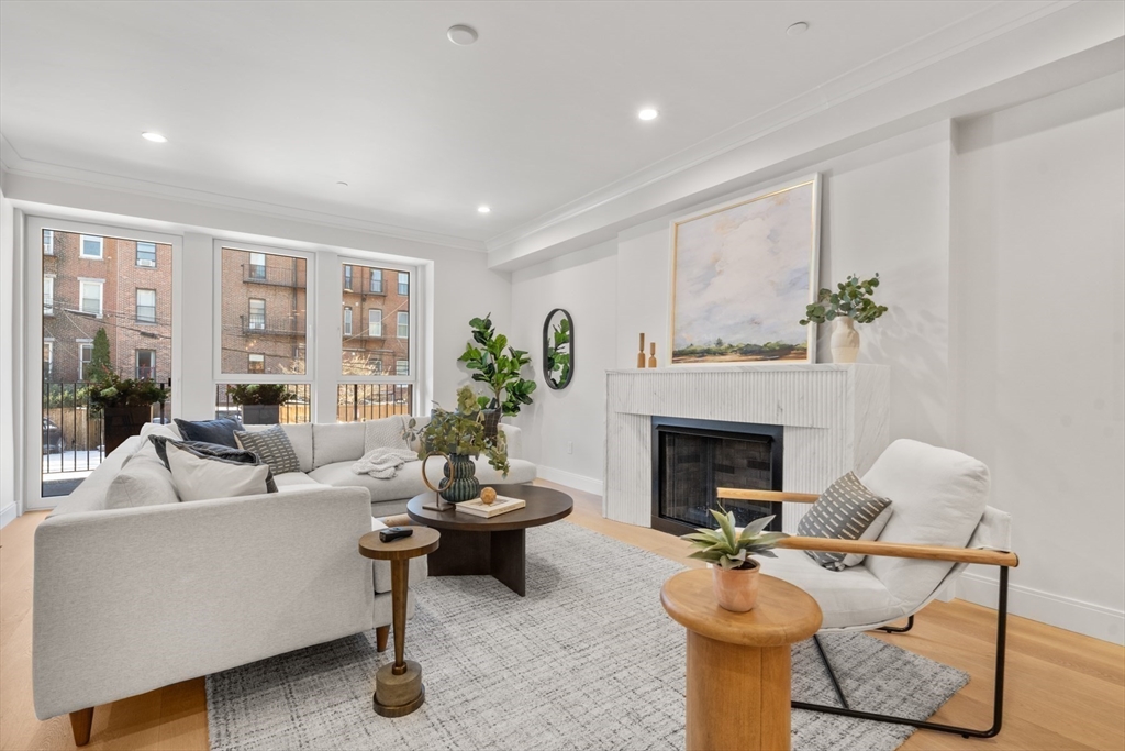 144 Worcester Street, Unit 2 Boston, MA 02118 - Photo 2 of 33 a living room with furniture a fireplace and a potted plant
