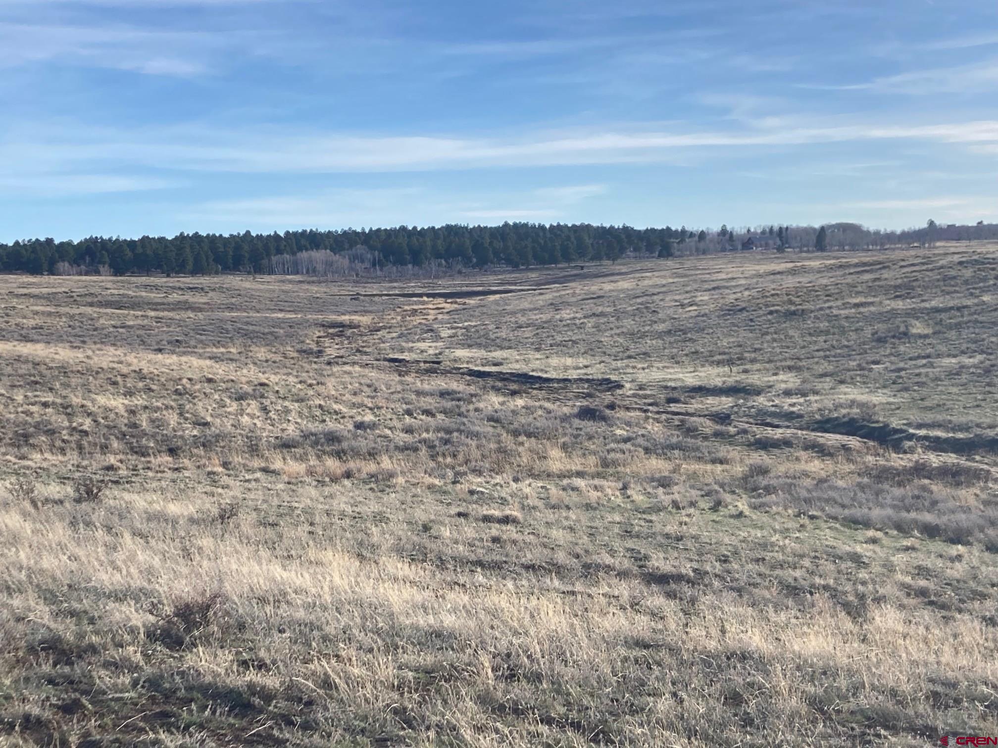 Lot 12 62x Road Placerville, CO 81430 - Photo 8 of 13 a view of ocean view with beach