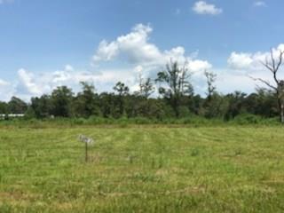 Lot 5 Church Branch Road Springfield, LA 70462 - Photo 1 of 10 Gallery Image 1