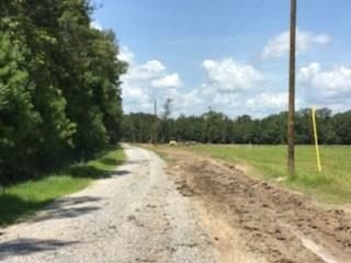 Lot 5 Church Branch Road Springfield, LA 70462 - Photo 2 of 10 Gallery Image 2