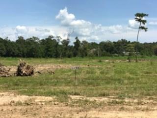 Lot 5 Church Branch Road Springfield, LA 70462 - Photo 3 of 10 Gallery Image 3
