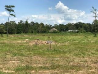 Lot 5 Church Branch Road Springfield, LA 70462 - Photo 4 of 10 Gallery Image 4