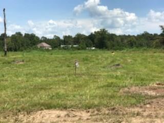 Lot 5 Church Branch Road Springfield, LA 70462 - Photo 5 of 10 Gallery Image 5