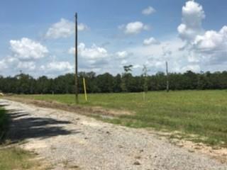 Lot 5 Church Branch Road Springfield, LA 70462 - Photo 6 of 10 Gallery Image 6