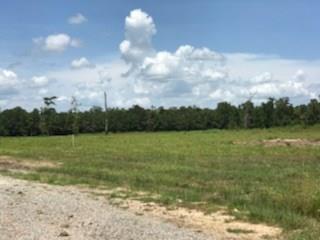 Lot 5 Church Branch Road Springfield, LA 70462 - Photo 7 of 10 Gallery Image 7