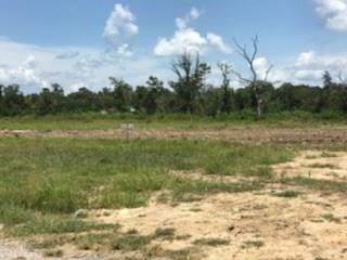 Lot 5 Church Branch Road Springfield, LA 70462 - Photo 8 of 10 Gallery Image 8