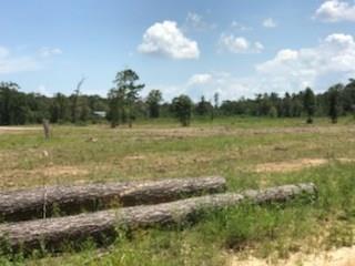 Lot 5 Church Branch Road Springfield, LA 70462 - Photo 9 of 10 Gallery Image 9