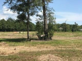 Lot 5 Church Branch Road Springfield, LA 70462 - Photo 10 of 10 Gallery Image 10