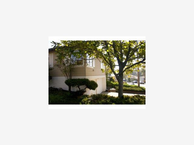 1633 Molitor Road Belmont, CA 94002 - Photo 6 of 6 a picture of a bench in a tree