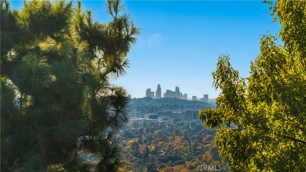 1701 Country Lane Pasadena, CA 91107 - Photo 2 of 14 a view of a tree in a yard