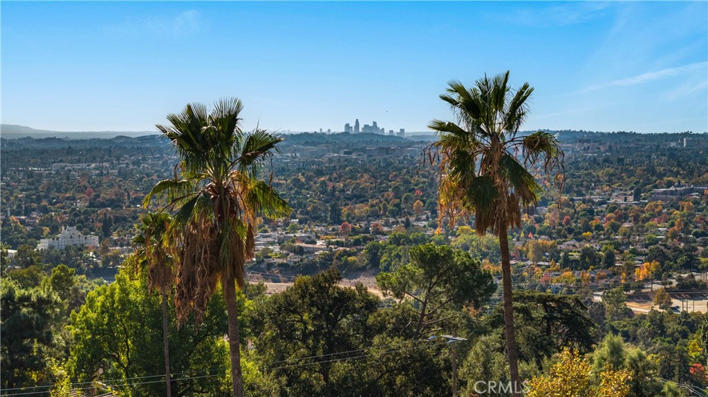1701 Country Lane Pasadena, CA 91107 - Photo 4 of 14 a view of a palm tree in a yard