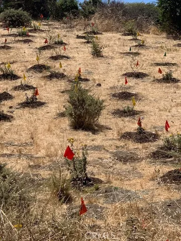 $199,000 | 0 Hollister Avenue, San Francisco, CA 94124