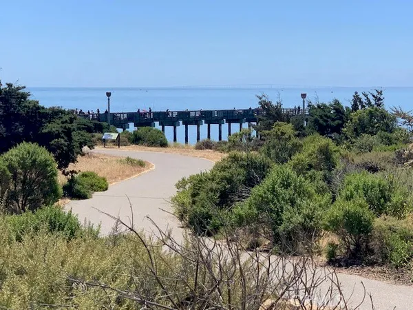 a view of a pathway