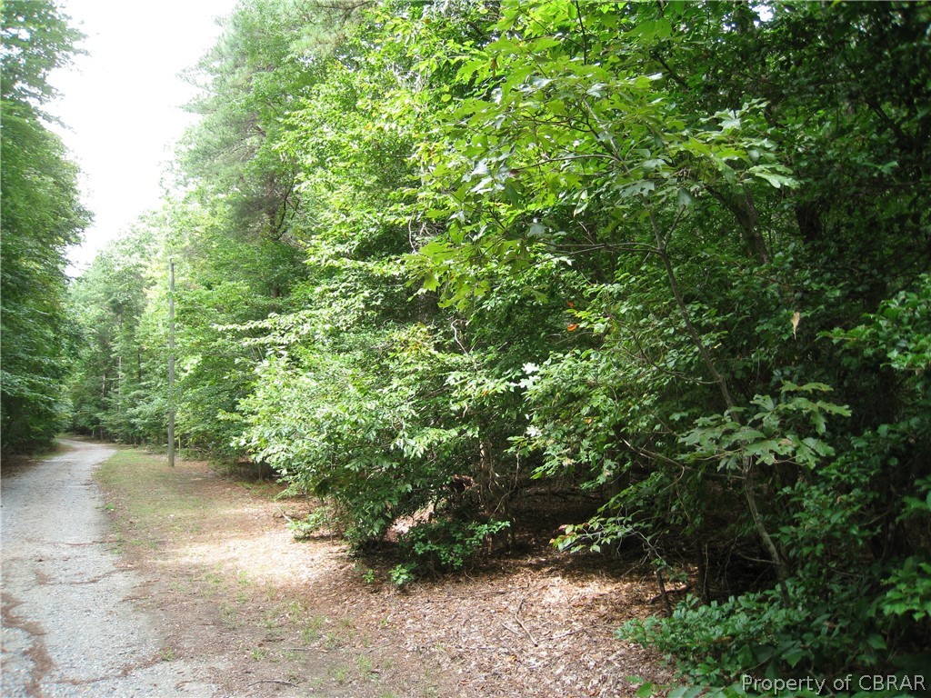 0 Rilees Farm Road Gloucester, VA 23061 - Photo 4 of 4 Gallery Image 4