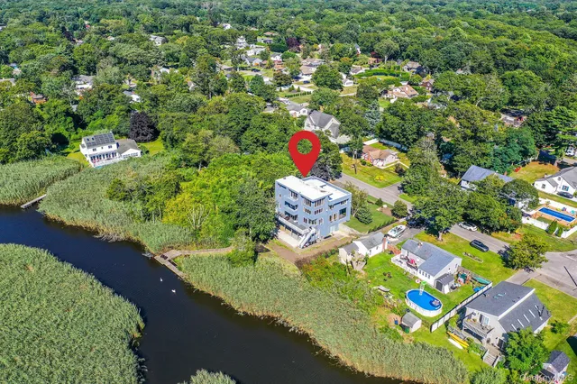 a view of a garden with plants and large trees