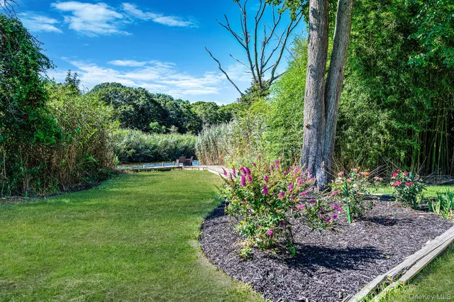 a view of outdoor space and city view