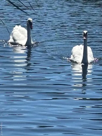 $1,299,000 | 36 Roosevelt Boulevard, East Patchogue, NY 11772