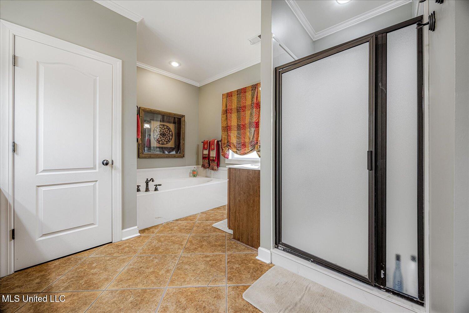 7189 Bethel Road Olive Branch, MS 38654 - Photo 25 of 44 Primary Bath