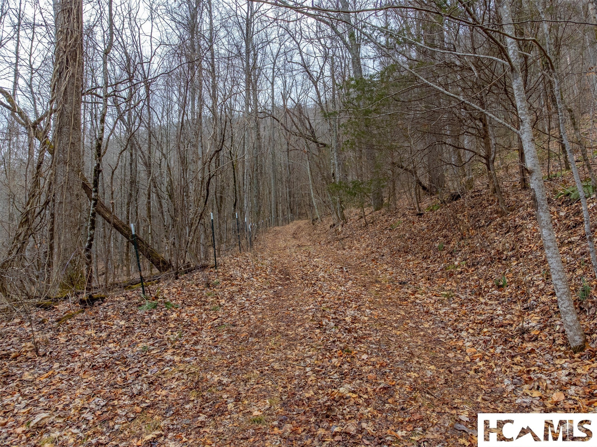 1241 Henry Road Franklin, NC 28734 - Photo 43 of 67 Gallery Image 43