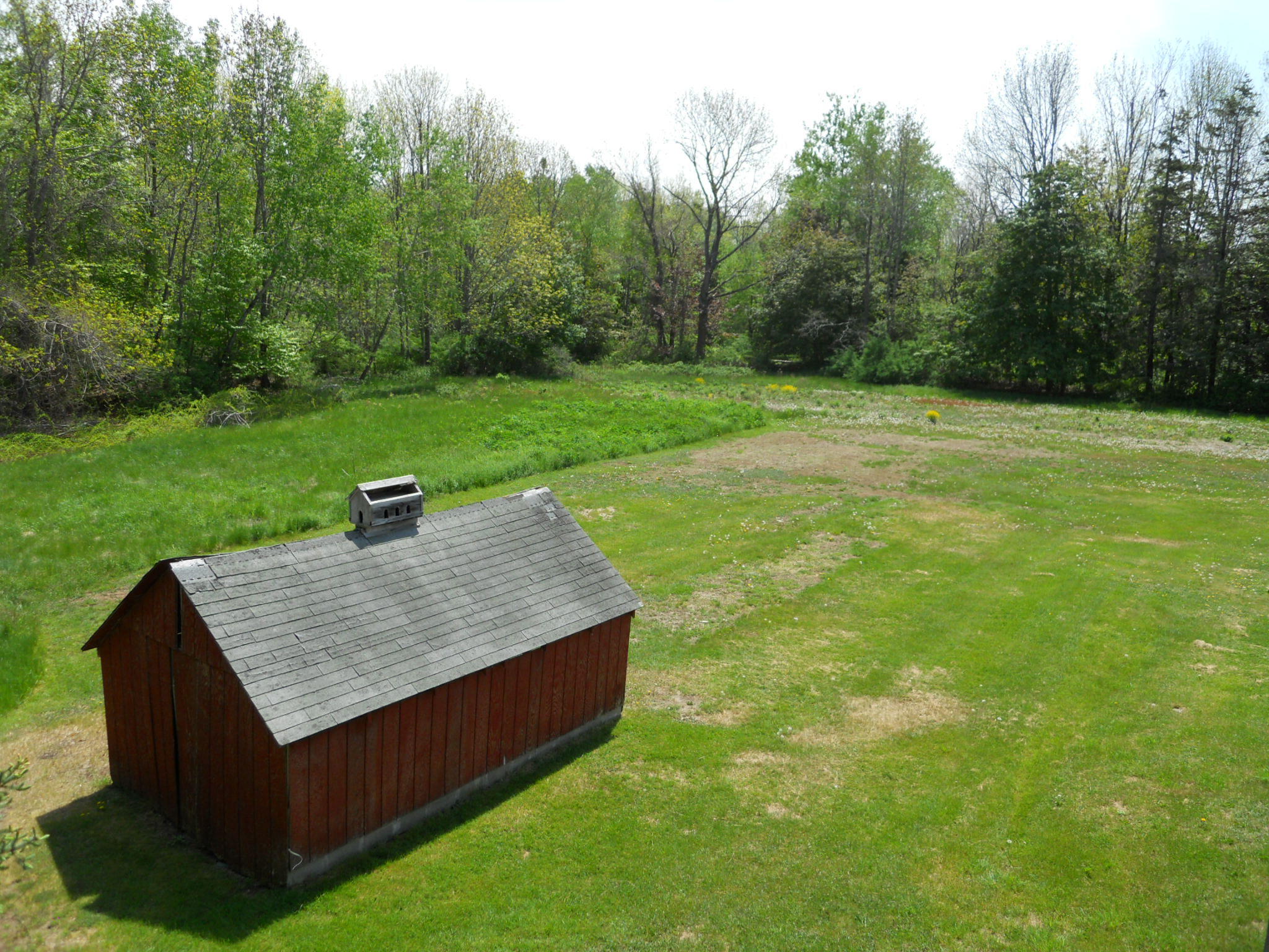 Shed:Yard7247