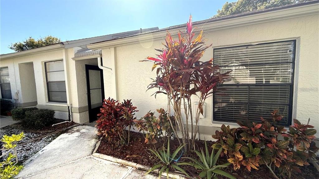 11737 Spring Tree Lane Port Richey, FL 34668 - Photo 1 of 1 Gallery Image 1