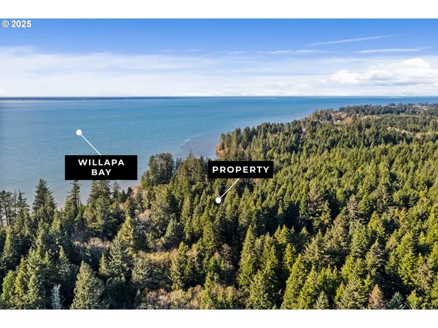 a view of a book shelf