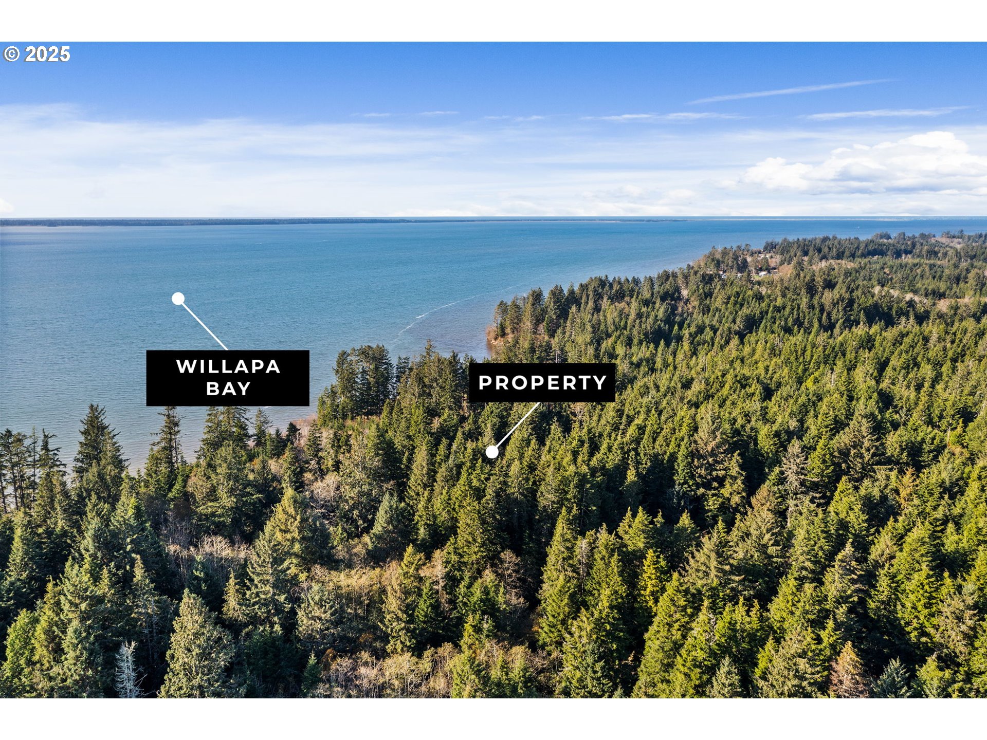 a view of a book shelf