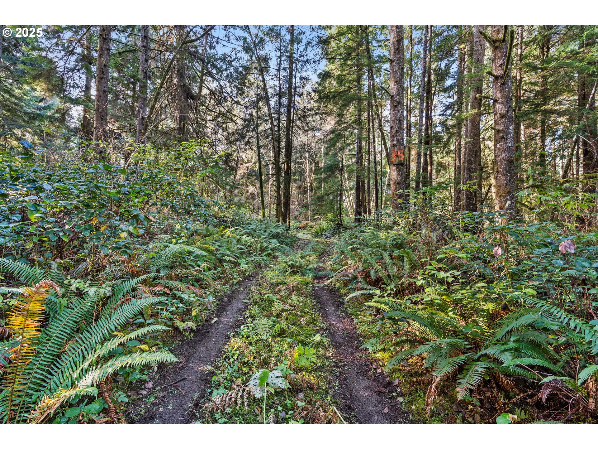 35 Lot South Bend, WA 98586 - Photo 5 of 11 a view of outdoor space and covered with trees