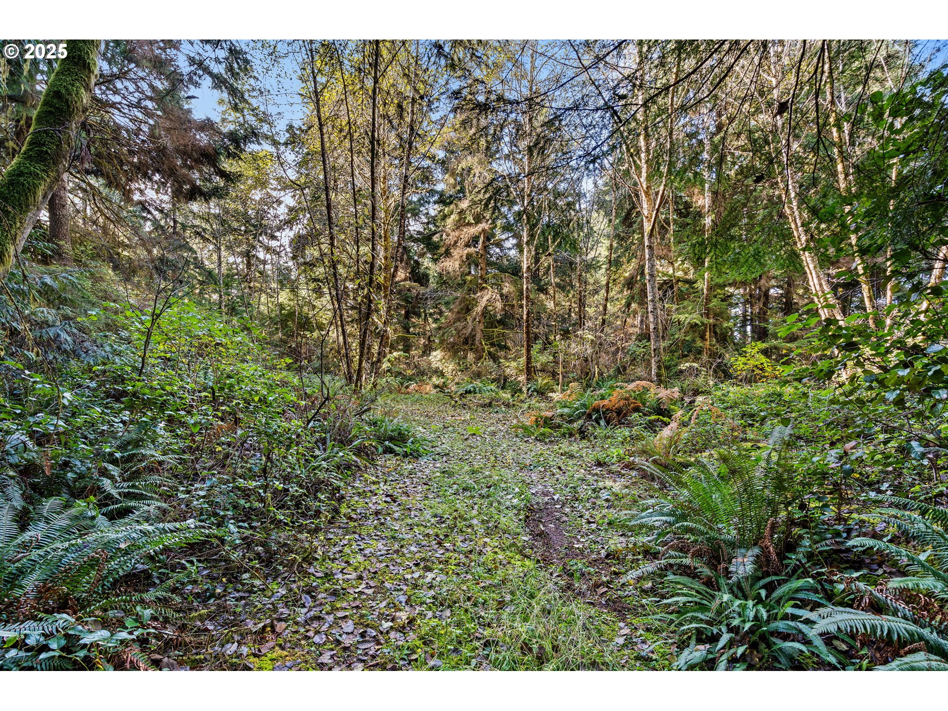 35 Lot South Bend, WA 98586 - Photo 6 of 11 a view of a yard