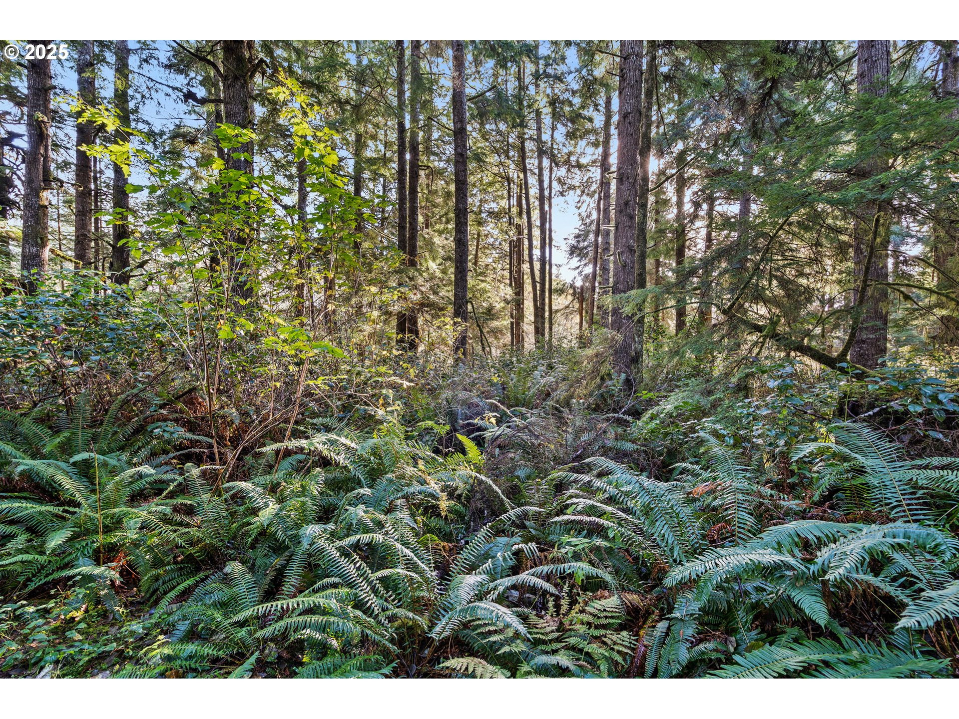 35 Lot South Bend, WA 98586 - Photo 7 of 11 a view of outdoor space and green space
