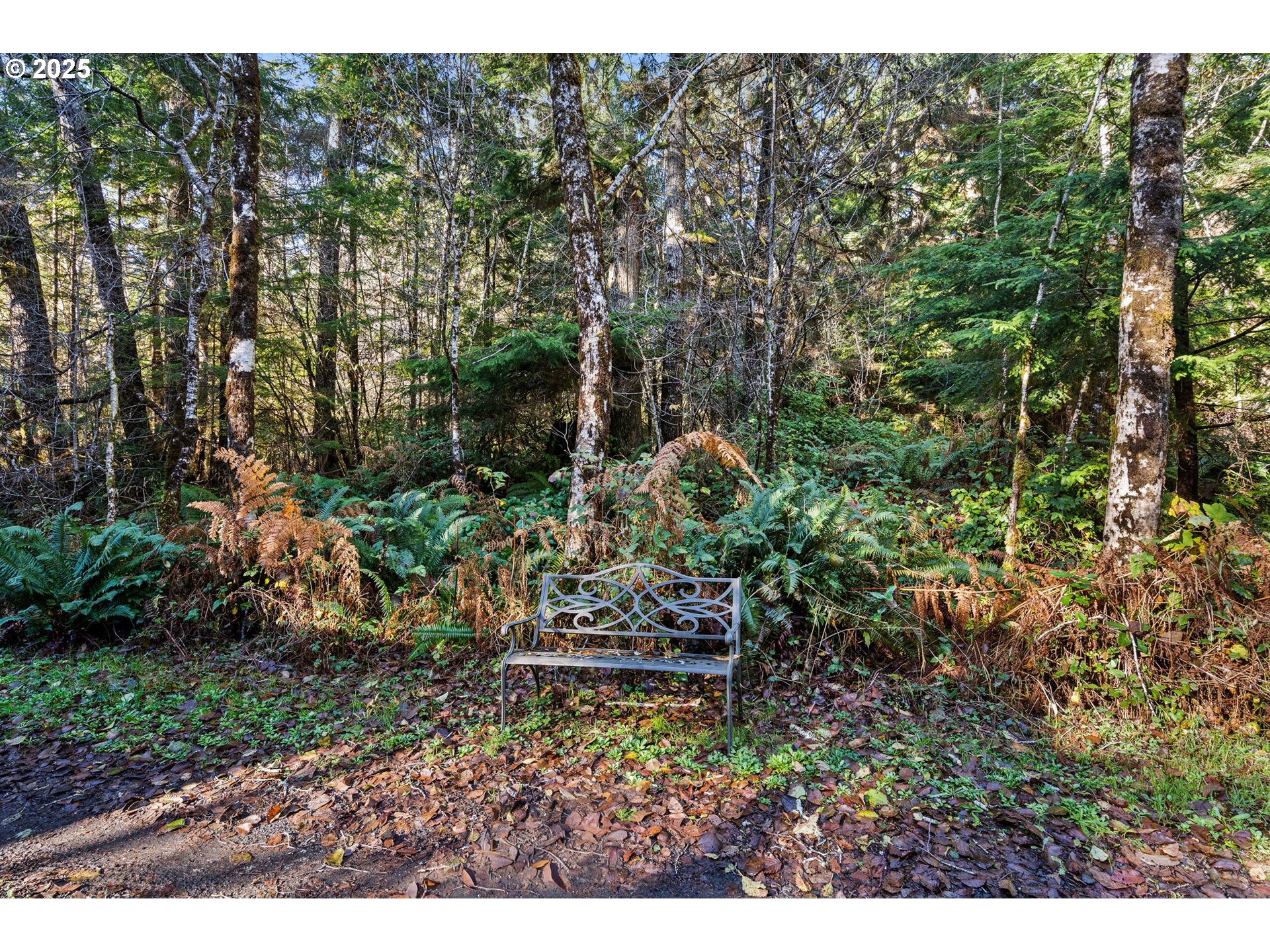 35 Lot South Bend, WA 98586 - Photo 8 of 11 a view of a park with large trees