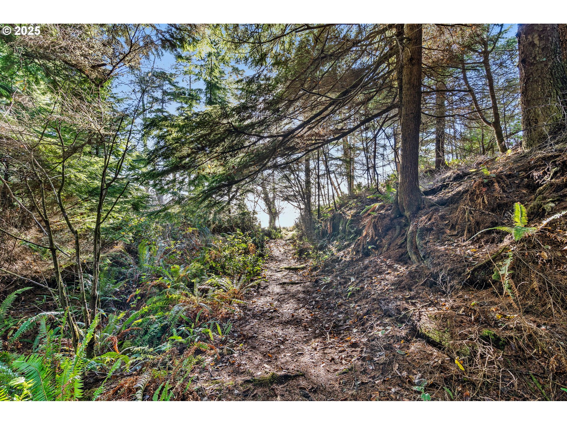 35 Lot South Bend, WA 98586 - Photo 9 of 11 a view of a tree