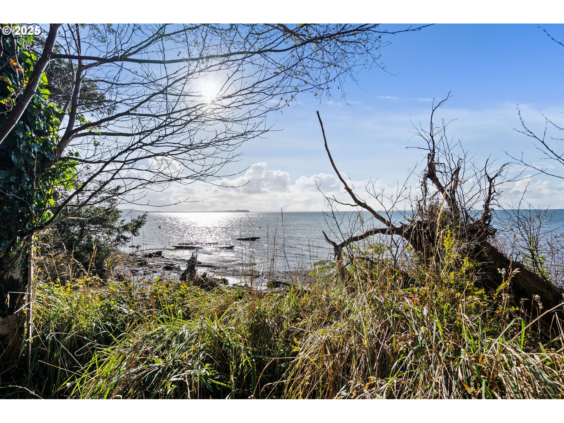 35 Lot South Bend, WA 98586 - Photo 10 of 11 a aerial view of a house