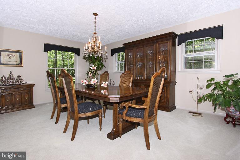 Dining Room Windows