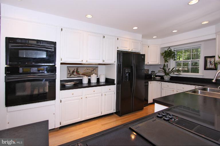 106 Interpromontory Road Great Falls, VA 22066 - Photo 9 of 30 Kitchen Overview