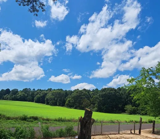 a view of backyard with a table and chairs