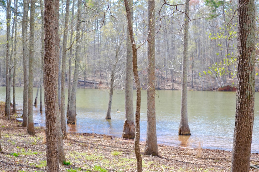 201 Garvin Road Seneca, SC 29678 - Photo 46 of 47 Gallery Image 46