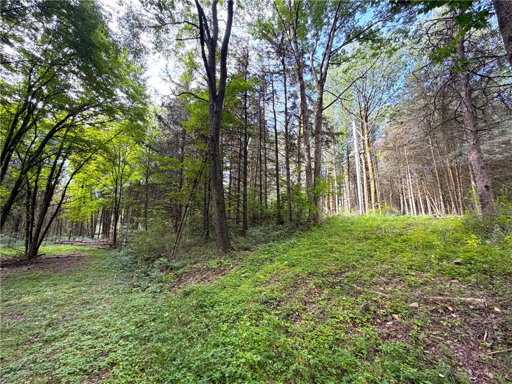 2 Dutton Loop Cuba, NY 14727 - Photo 2 of 16 Gallery Image 2
