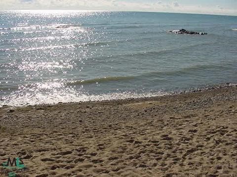 3635 Lakeshore Road Lexington, MI 48450 - Photo 5 of 5 441217-4.JPG