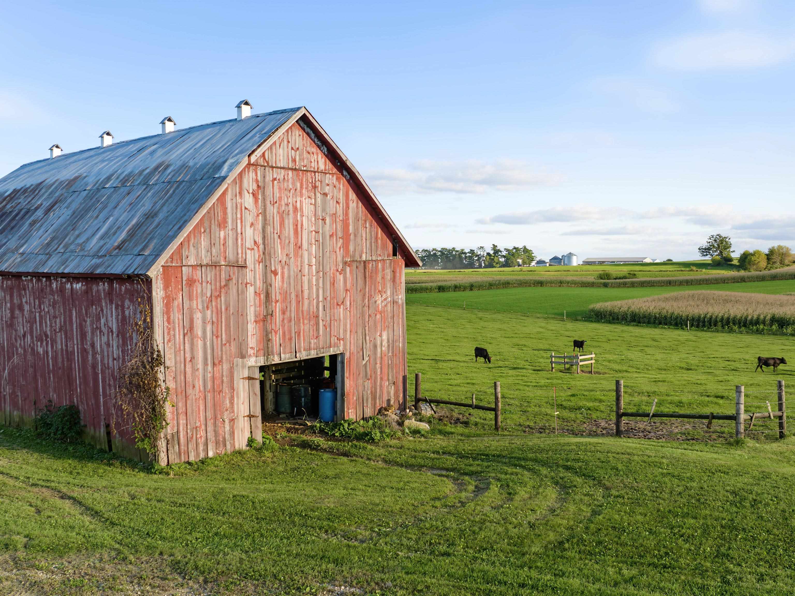 S8199 Gilman Road Ferryville, WI 54628 - Photo 25 of 29 Gallery Image 25