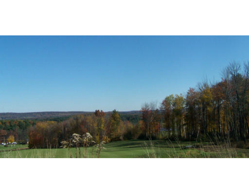 29 Ranch Club Road Southwick, MA 01077 - Photo 3 of 29 Gallery Image 3