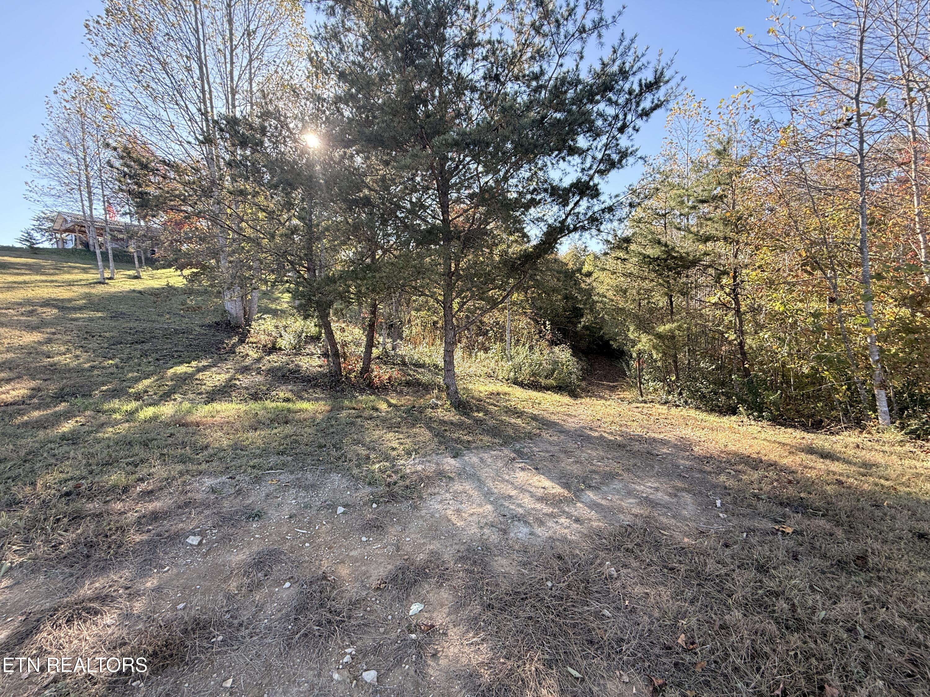 444 Roses Creek Road Clairfield, TN 37715 - Photo 22 of 48 Clubhouse Upper Property
