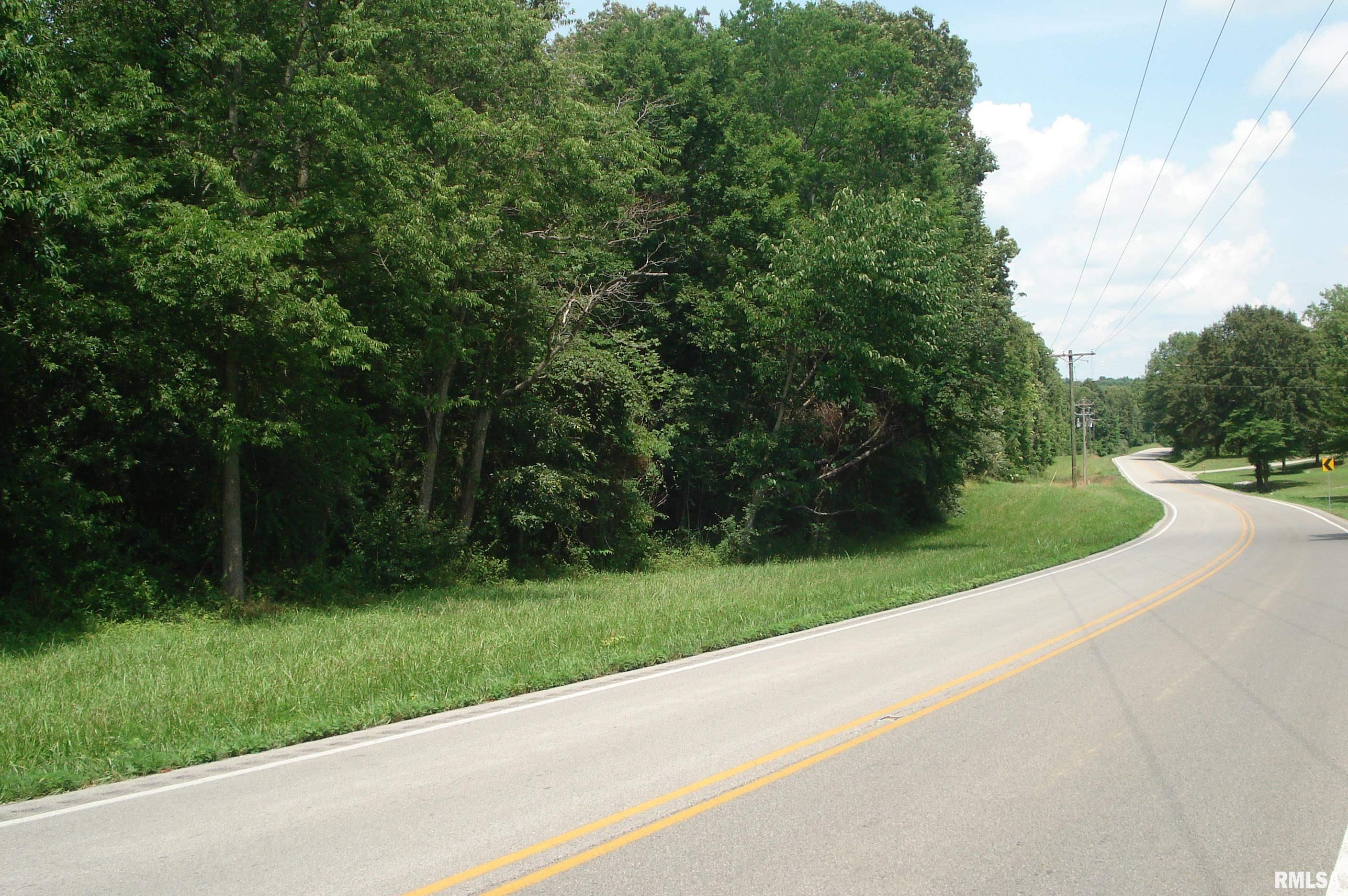 0 Corinth Road Pittsburg, IL 62974 - Photo 13 of 18