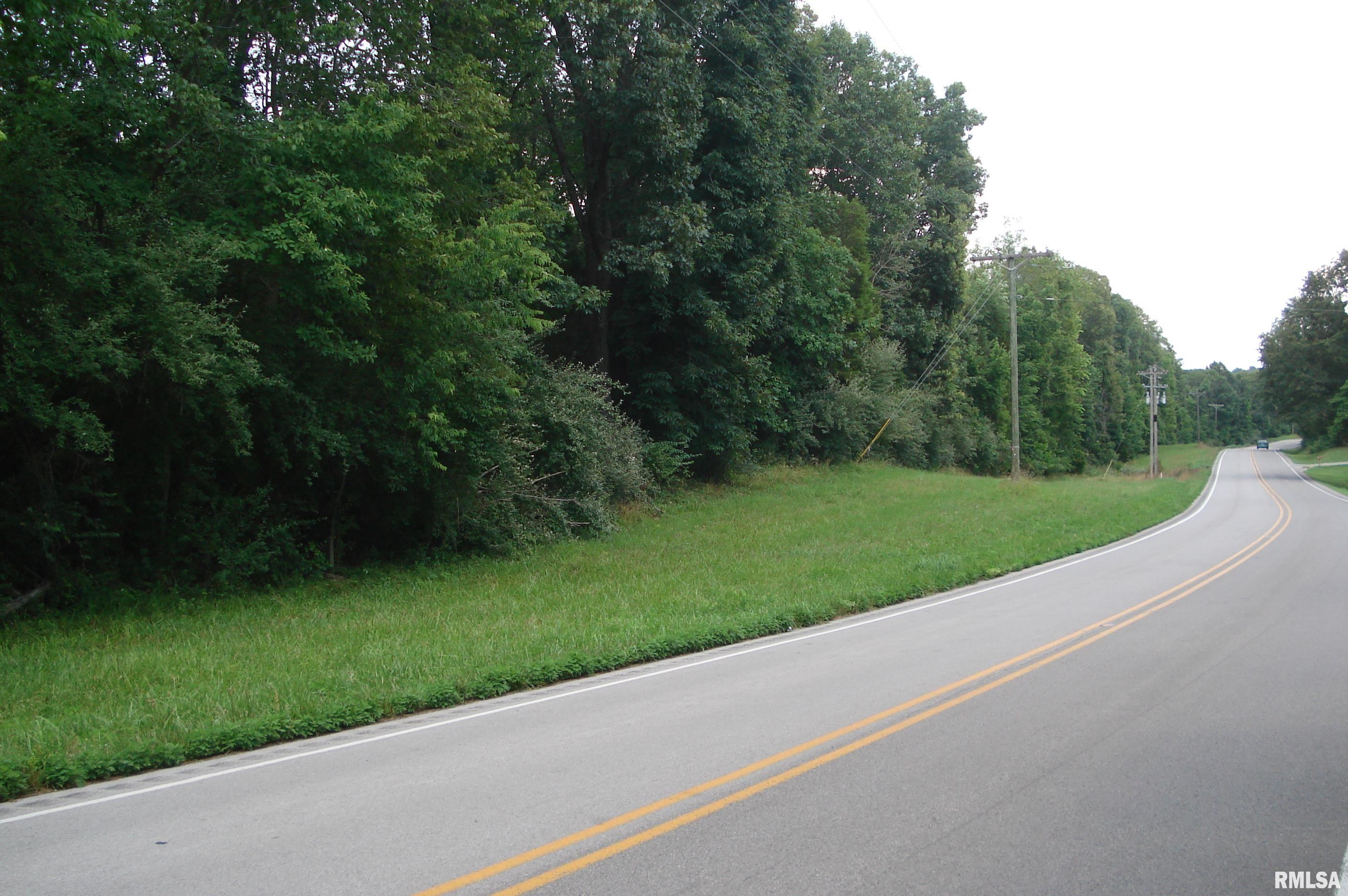 0 Corinth Road Pittsburg, IL 62974 - Photo 17 of 18