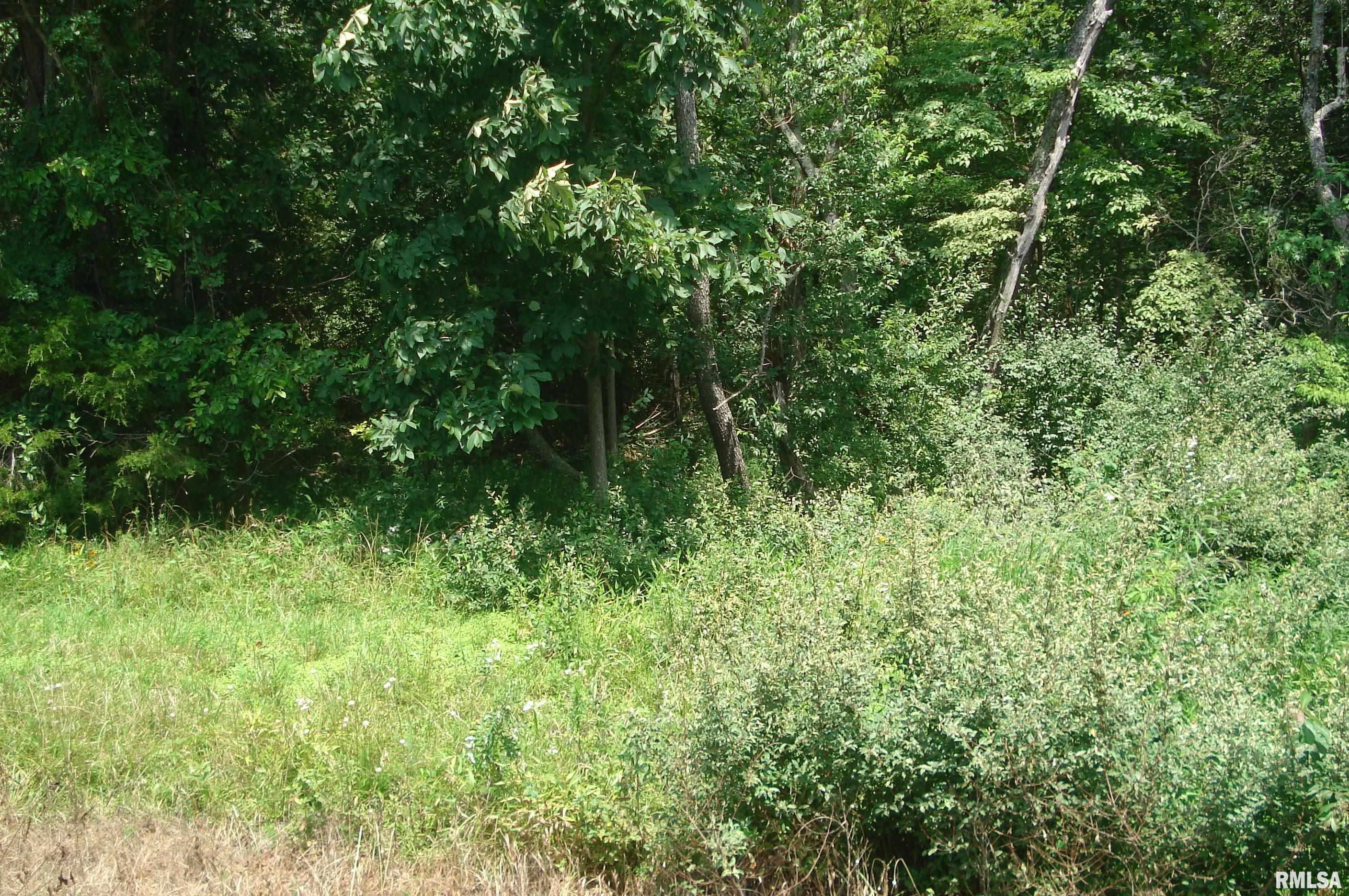 0 Corinth Road Pittsburg, IL 62974 - Photo 3 of 18