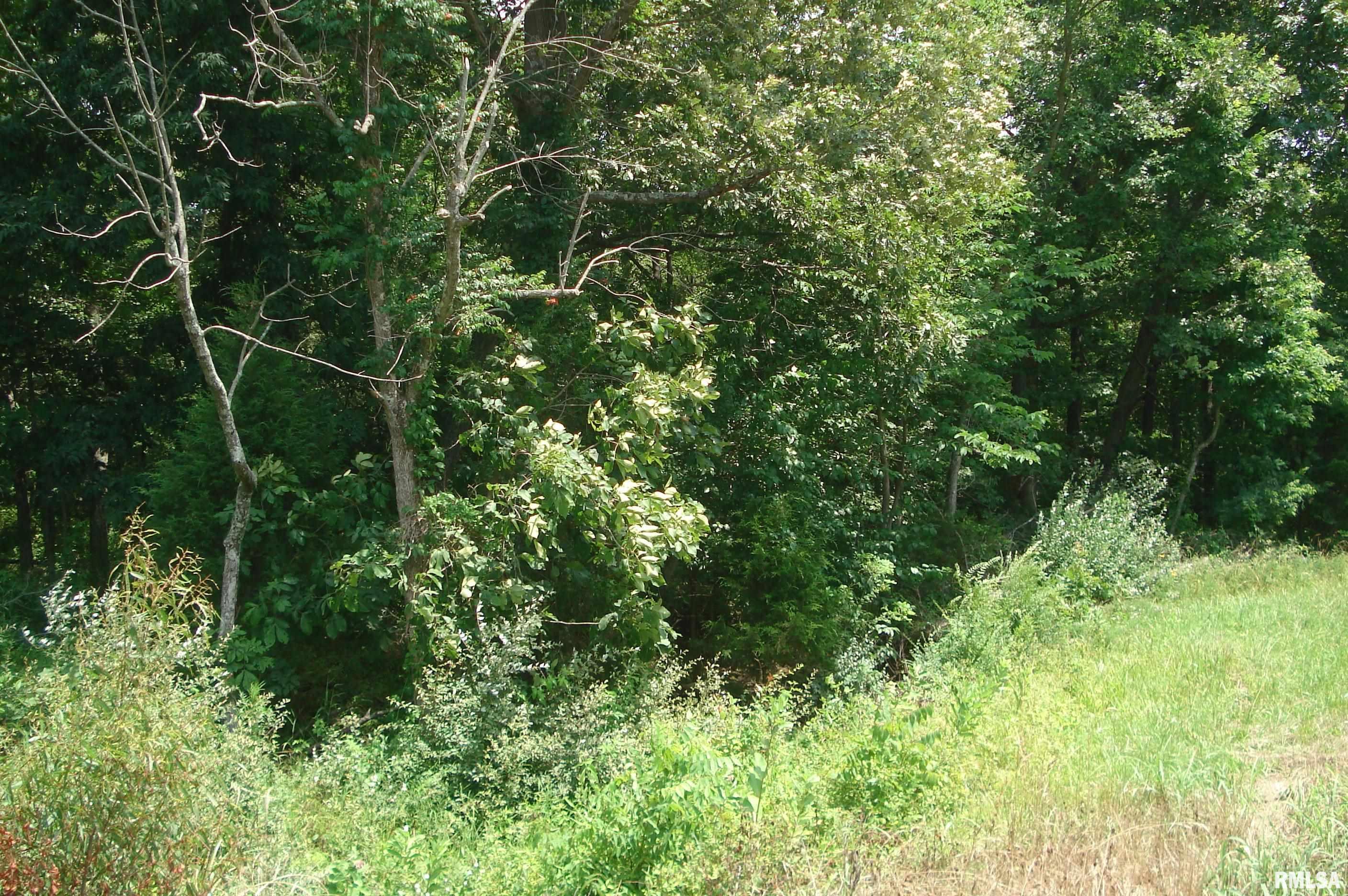0 Corinth Road Pittsburg, IL 62974 - Photo 4 of 18